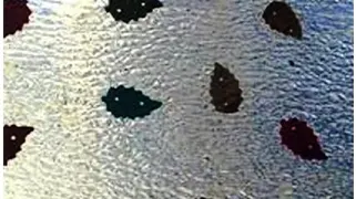 Fibreglass Sheets Manufacturers in Delhi